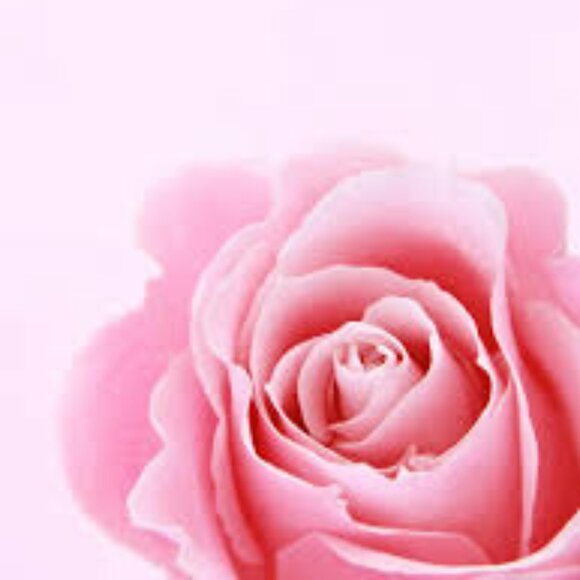 Meet your Posher, jennifer - Picture 1 of 1